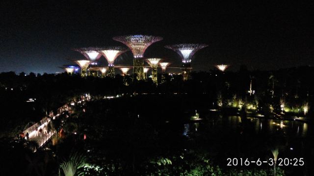 新加坡濱海灣花園
