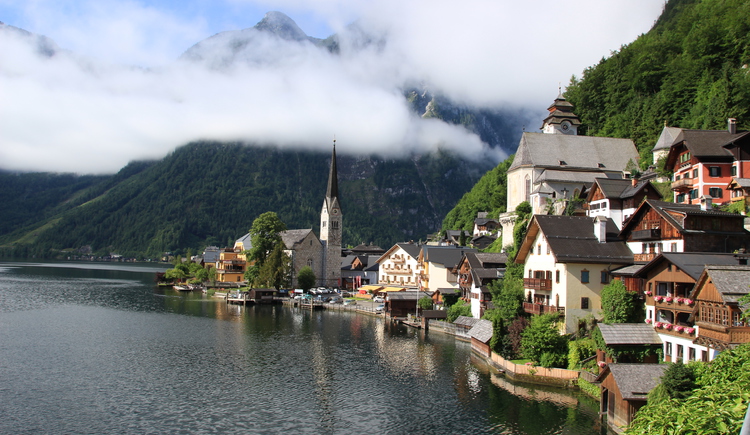 Cafe Bachts Polreich