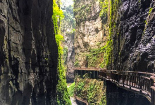【纯包车】武陵山大裂谷+白鹤梁水下博物馆+乌江赤壁观景台【打卡曾上榜《国家地理》的武陵山大裂谷；】