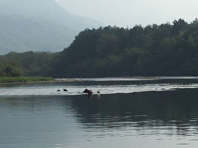 난시강 풍경명승구