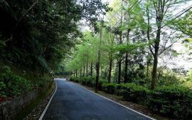 基隆望幽谷天气预报 历史气温 旅游指数 望幽谷一周天气预报 携程攻略