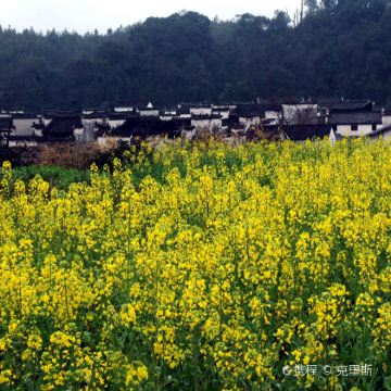 黄山+宏村+西递+婺源+新安江山水画廊6日5晚私家团