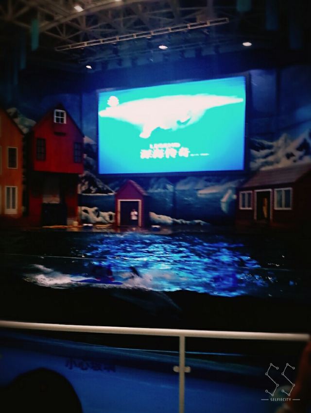 Qujiang Polar Ocean Park