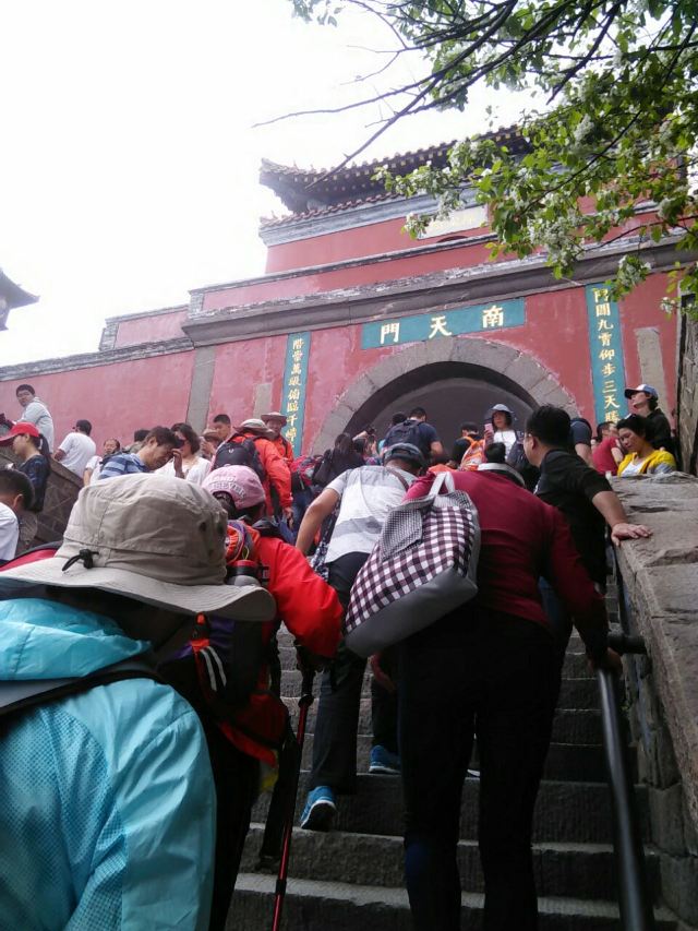 18판