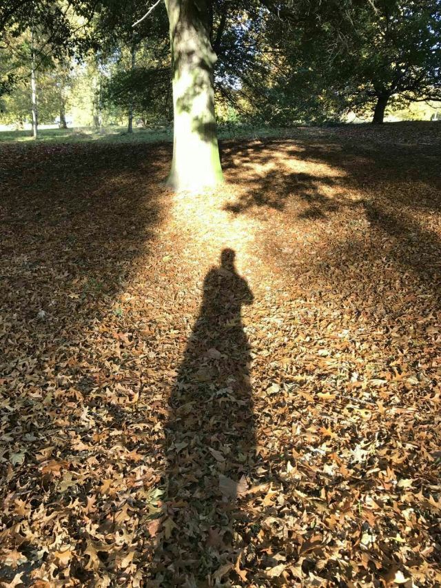 Hyde Park
