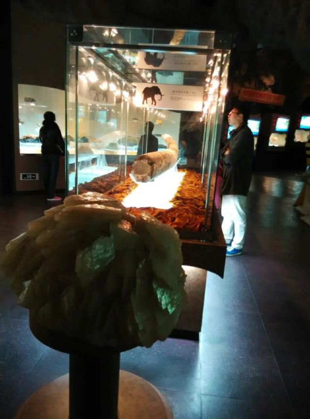 Shanghai Science and Technology Museum