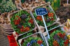 辛格鲜花市场-阿姆斯特丹-doris圈圈