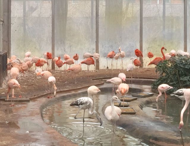 Beijing Zoo