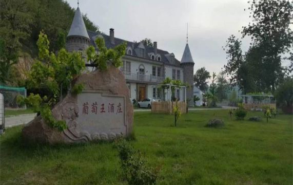 华泰葡萄王酒庄