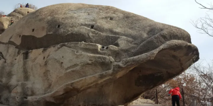 華山風景名勝區-魚石