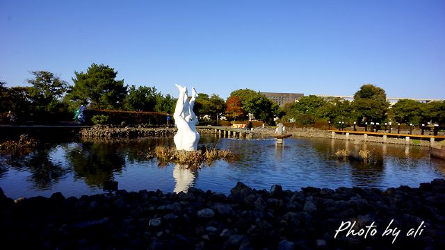 Jeju Love Land