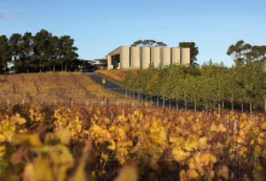 古今艺术博物馆景点图片