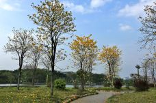 剑英公园-梅州-懟懟