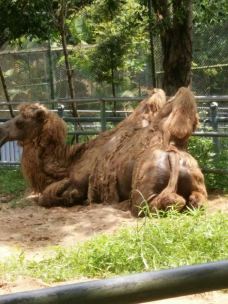 茂名森林公园-茂名-_CFT01****8421721