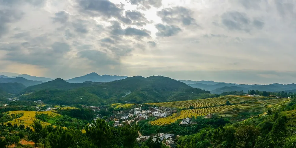 永安旅遊