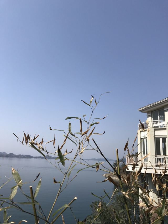 메이펑다오