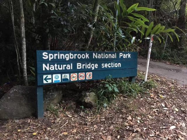 Springbrook National Park