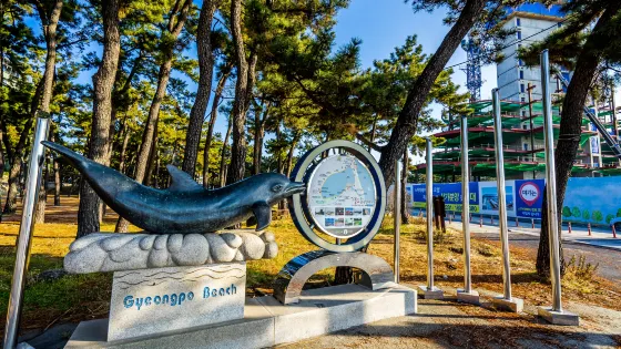 鏡浦台海水浴場