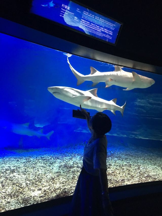 Grandview Aquarium