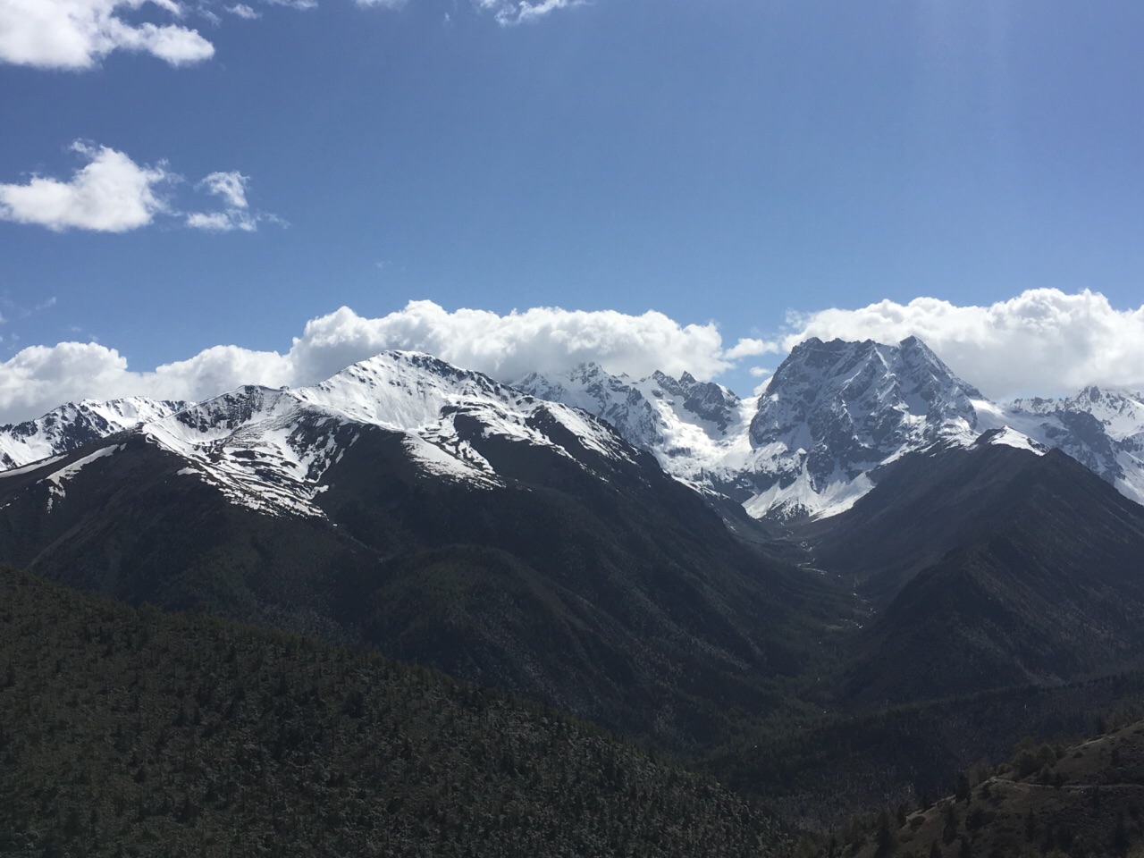白马雪山位于云南迪庆，就在去往梅里雪山的滇藏公路旁边。