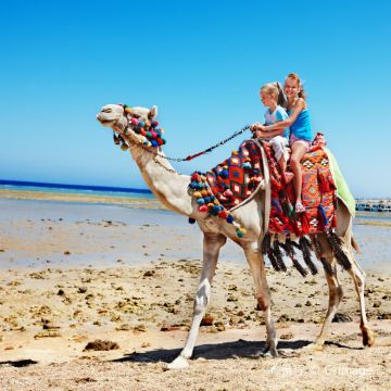 埃及开罗+阿斯旺+卢克索+尼罗河+红海Red Sea11日跟团游