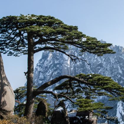江西婺源+宏村景区+黄山市5日4晚私家团