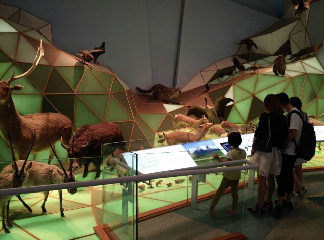 Shanghai Natural History Museum