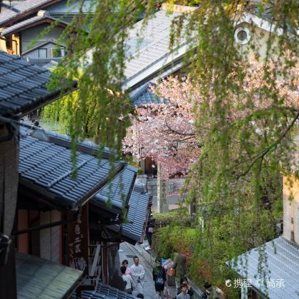 日本东京+箱根+京都+大阪10日9晚私家团