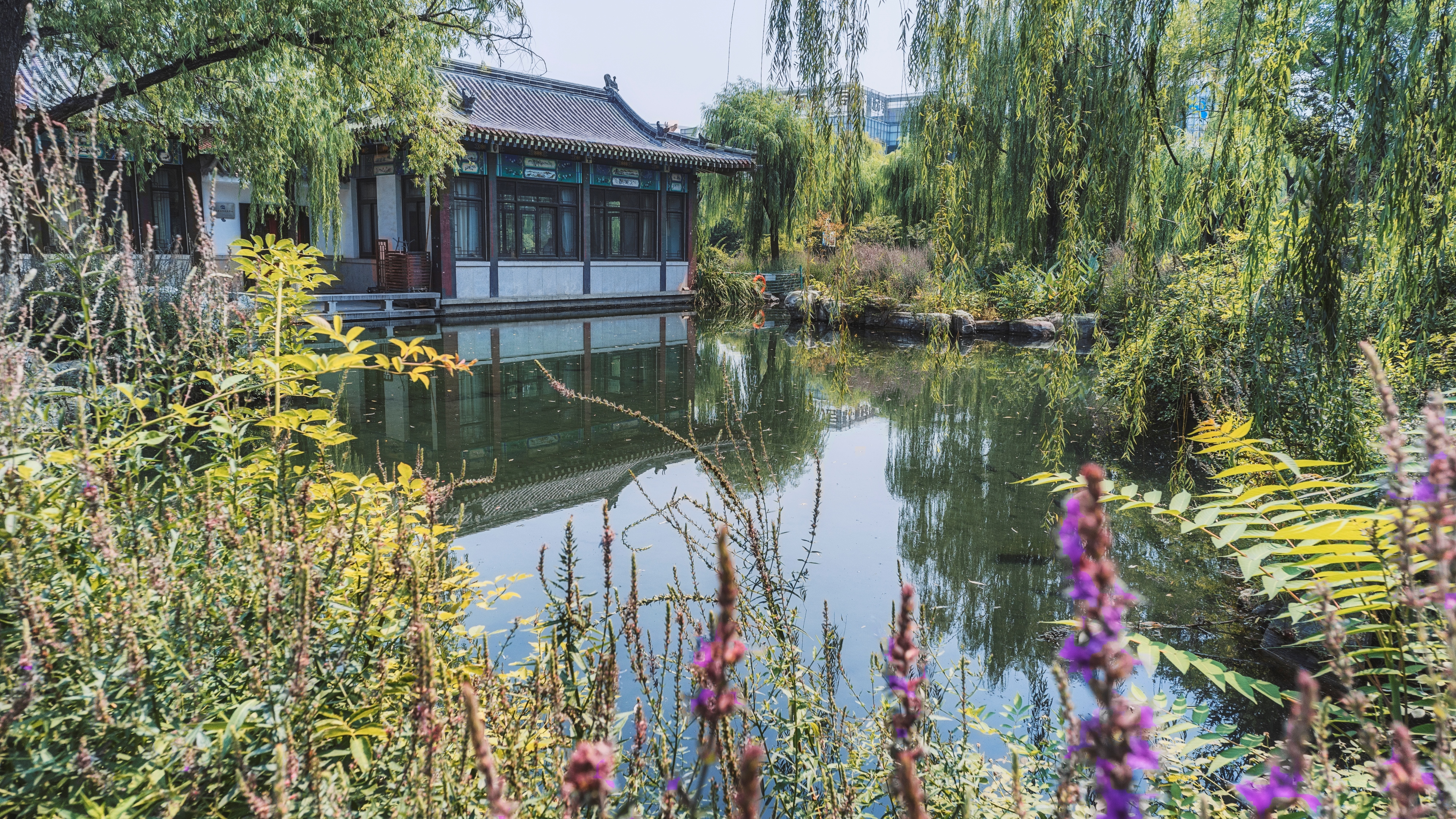 贤清泉