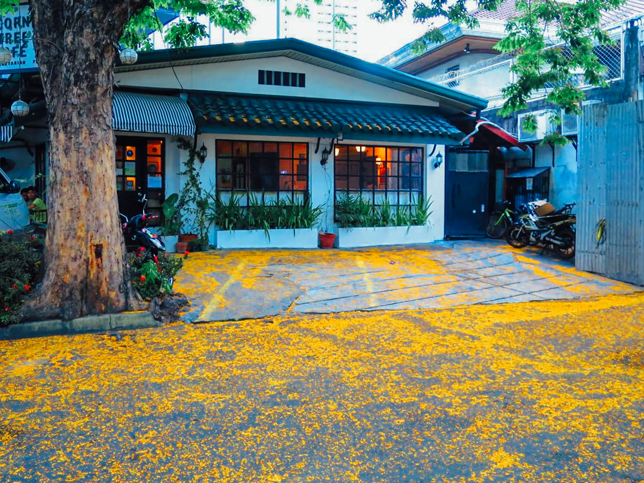 Corner Tree Cafe餐厅图片