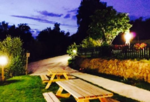 La Fenice美食图片