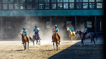 新疆烏魯木齊新疆古生態(tài)園 -08590