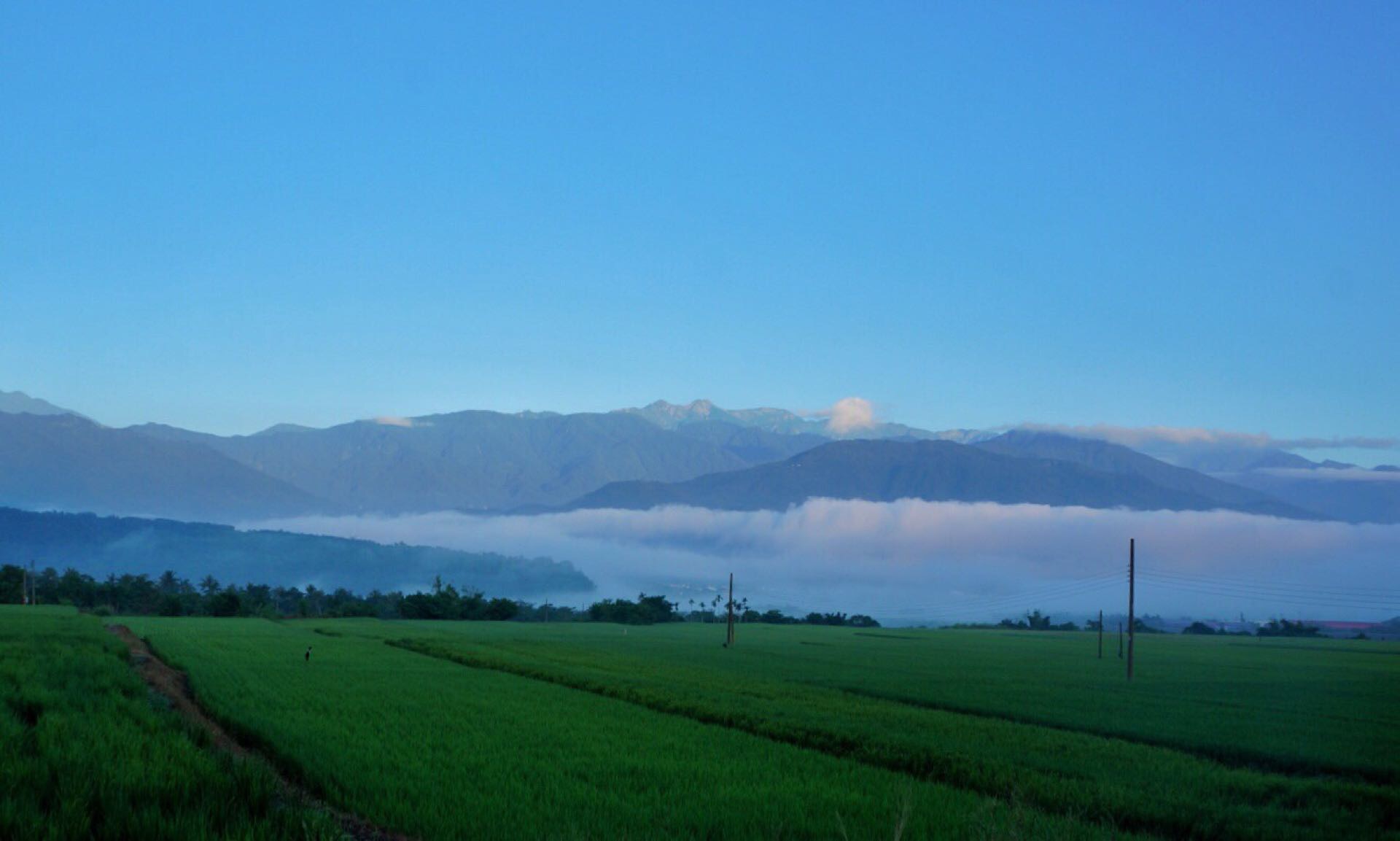 清晨美如油畫般的花東縱谷和東部海岸