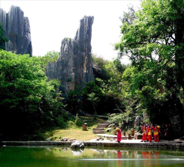 Stone Forest