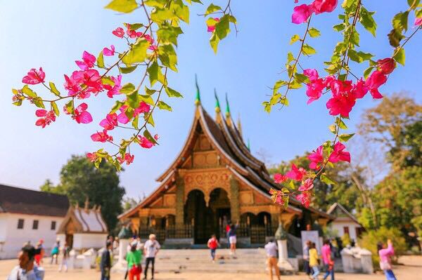 #元旦去哪玩#老挝香通寺，爱过琅勃拉邦