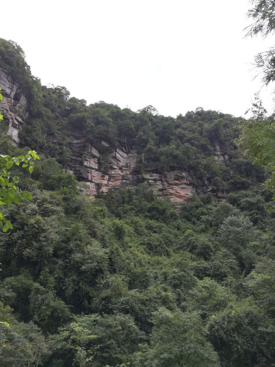 碧峰峡悬棺