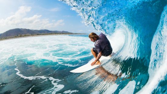 Surfers Paradise Surfing Experience
