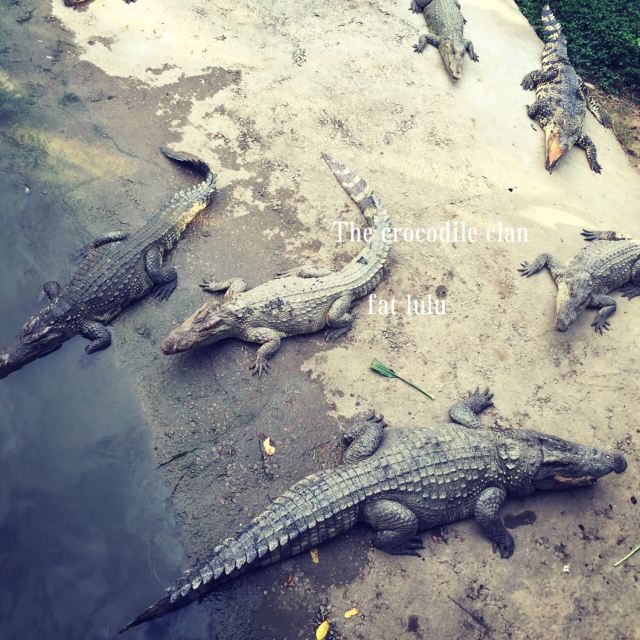Chimelong Bird Park