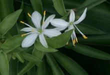 良品铺子(万安五云路店)购物图片