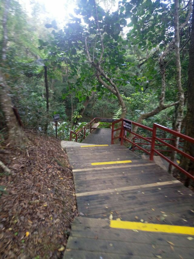 Wuzhishan Tropical Rainforest