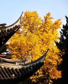 龙华寺-上海-Tom Hung