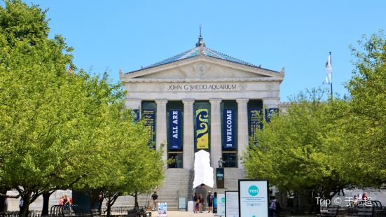 Shedd Aquarium