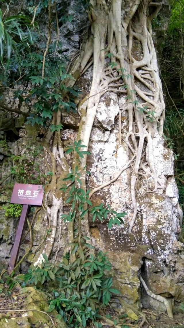 Shijinglin Sceneic Area
