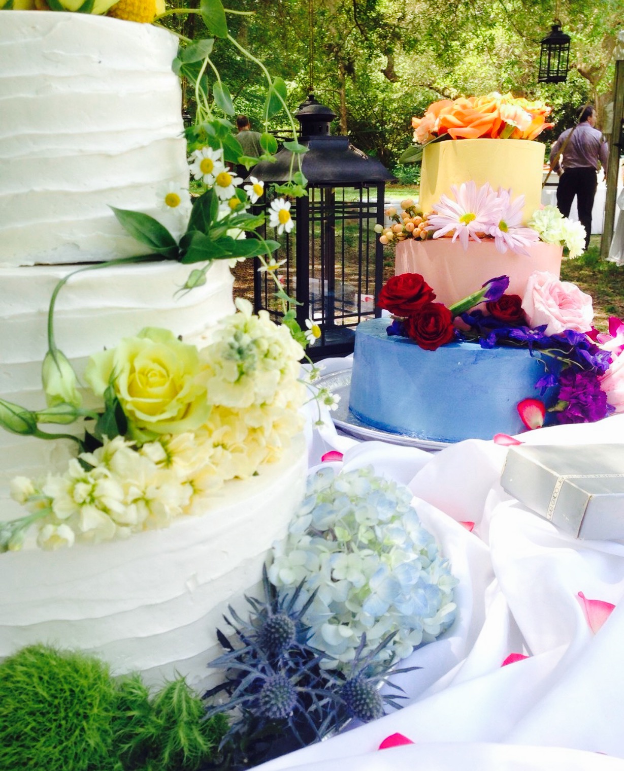 Northern Lights Bakery餐厅图片