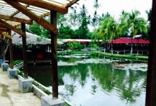 Pondok Hijau Restaurant美食图片