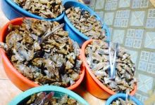 Warung Mak Ti美食图片