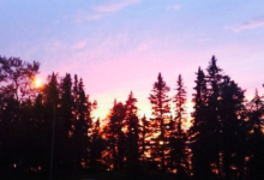 Pete’s Terrace美食图片