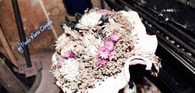 Rstorante Trattoria Osteria Locanda dai Pistori餐厅图片