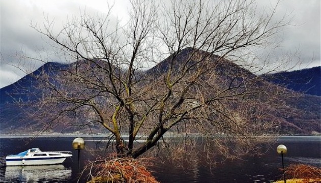 Il Ritrovo餐厅图片