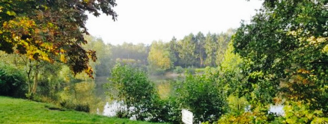 Seegarten餐厅图片